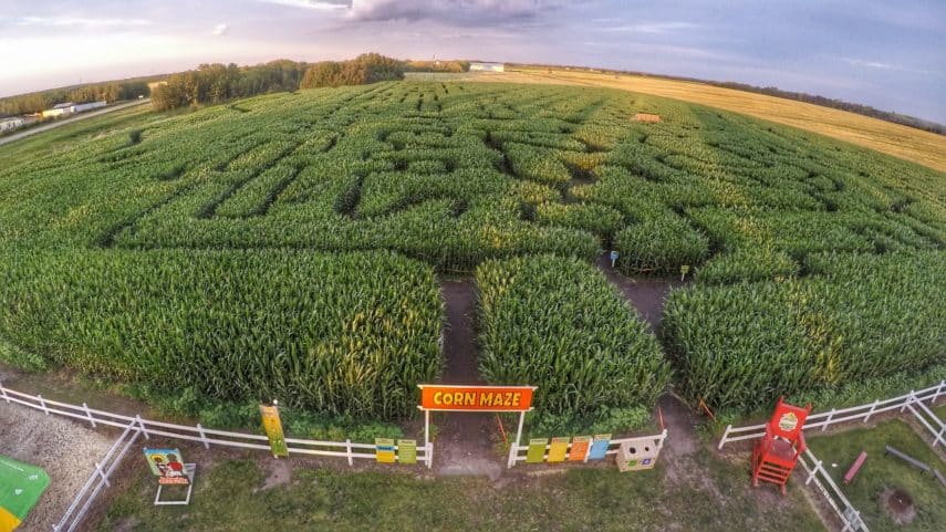 Things to Do With Kids in and around Edmonton