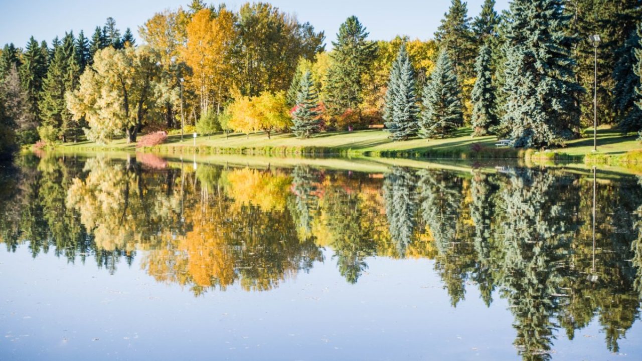 Things To Do In Edmonton In October To Do Canada - things to do in edmonton in october winter reflection v3 roblox Things To Do In Edmonton In October To Do Canada - winter reflection v3 roblox