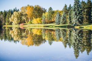 Things to Do in Edmonton in October