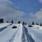 Edmonton Ski Club Tube Park