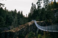 Elk Falls Provincial Park: Waterfalls, Suspension Bridge and More to Explore at This Nature Gem Near Campbell River