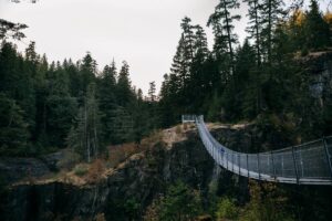Elk Falls Provincial Park: Waterfalls, Suspension Bridge and More to Explore at This Nature Gem Near Campbell River