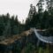 Elk Falls Provincial Park: Waterfalls, Suspension Bridge and More to Explore at This Nature Gem Near Campbell River