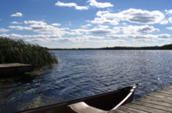 Top Reasons Emily Provincial Park Should Be on Your Kawartha Lakes Road Trip Itinerary