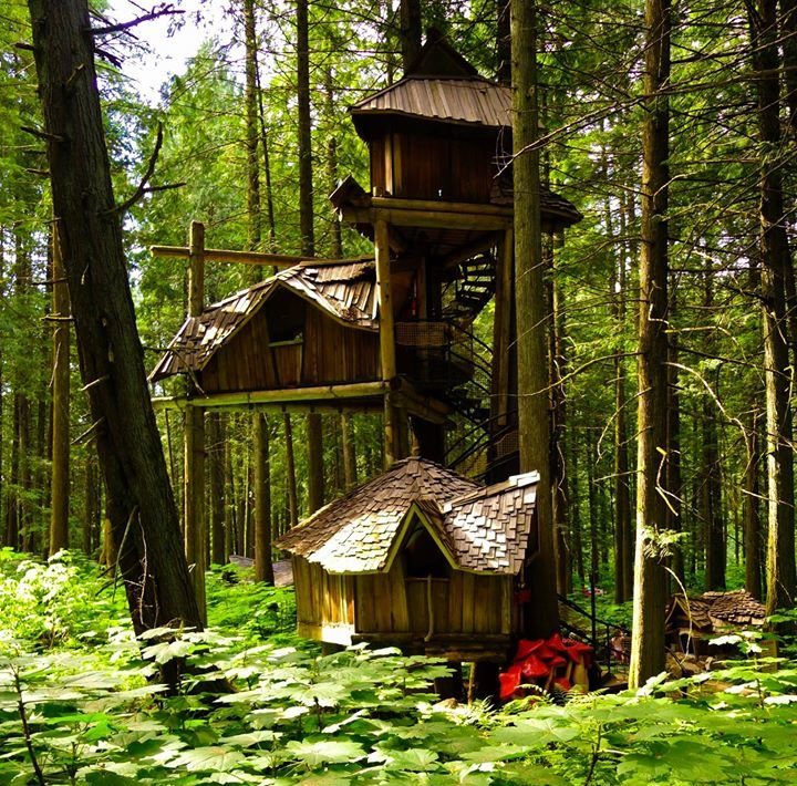 Credit: Enchanted Forest