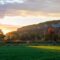 Escarpment Art Tour