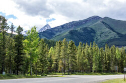 A Quick Guide For an Exciting Getaway to Evan-Thomas PRA Near Calgary