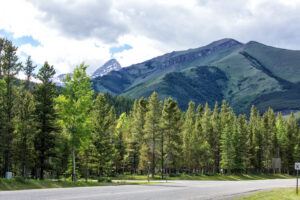 A Quick Guide For an Exciting Getaway to Evan-Thomas PRA Near Calgary