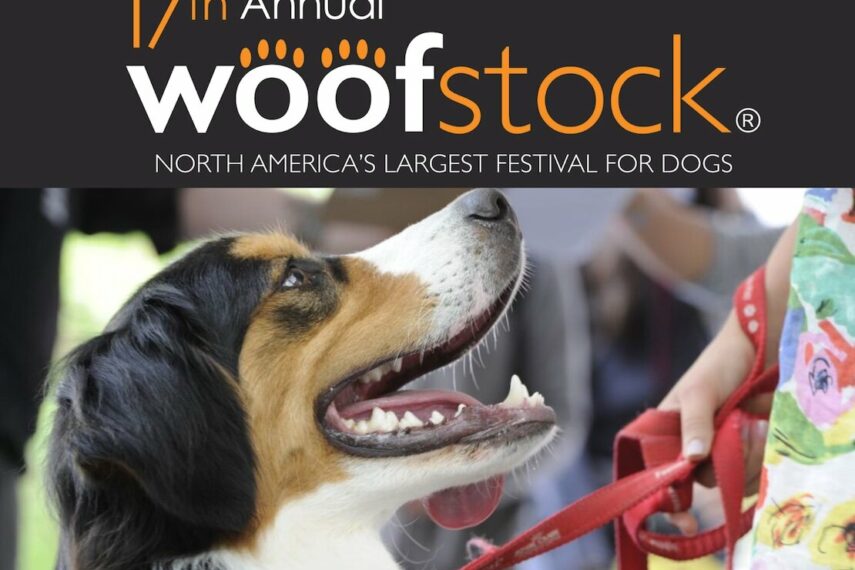 Woofstock, North America’s Largest Festival for Dogs