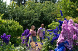 Nine Trip Itineraries Across British Columbia to Experience Stunning Gardens and Family Fun Flower Farms