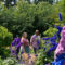 Nine Trip Itineraries Across British Columbia to Experience Stunning Gardens and Family Fun Flower Farms