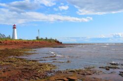 Explore Belfast: From Historic Lighthouses to Tulip Fields, a Coastal Escape on PEI
