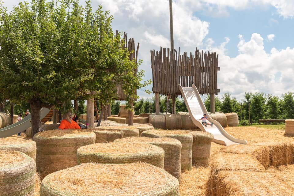 Explore Chudleigh’s Farm