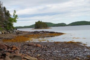 Explore Dildo Run Provincial Park and Beyond: Top Activities for Outdoor Enthusiasts Visiting Newfoundland’s Northern Coastline