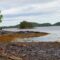 Explore Dildo Run Provincial Park and Beyond: Top Activities for Outdoor Enthusiasts Visiting Newfoundland’s Northern Coastline