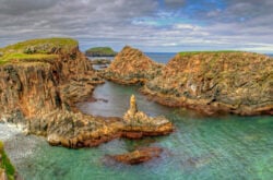 Explore Elliston: Historic Root Cellars, Puffins, and Stunning Coastlines Create a Unique Newfoundland Experience