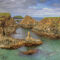 Explore Elliston: Historic Root Cellars, Puffins, and Stunning Coastlines Create a Unique Newfoundland Experience