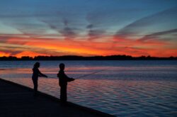 Explore Leamington: Summer Fun at the Gateway to Point Pelee National Park