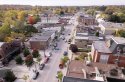 Explore Picton and Beyond This Summer - Beach Days, Wine Tours, Art Walks, and Lakeside Culture in One Trip