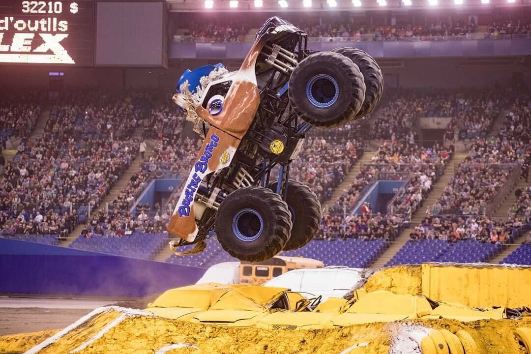 Monster Trucks All Out