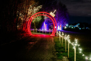 10 Things to Do This Christmas & Holiday Season in Markham