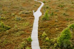 Top Reasons For a Fall Visit to Kouchibouguac National Park in New Brunswick