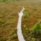 Top Reasons For a Fall Visit to Kouchibouguac National Park in New Brunswick