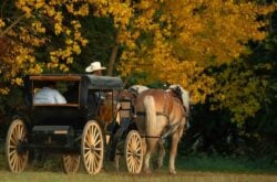 50 Things to Do This Thanksgiving Weekend in Alberta