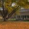 Fall Colour Tours