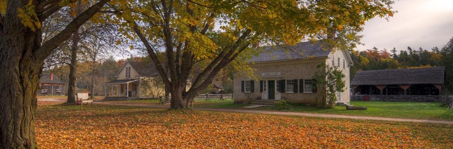 Fall Colour Tours