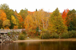 Fall Colours Getaway - Make the Best of Your Trip to Huntsville