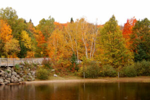 Fall Colours Getaway - Make the Best of Your Trip to Huntsville