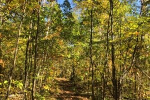 Fall Fun in Sudbury