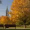 Fall Rhapsody