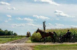 Events, Activities & Festivals in K-W Region This September - 2026