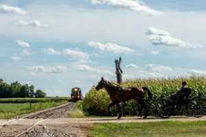 Events, Activities & Festivals in K-W Region This September - 2026