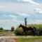 Events, Activities & Festivals in K-W Region This September - 2026