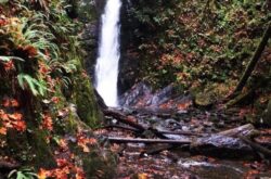 30+ Fun Things to Do on Vancouver Island during Fall