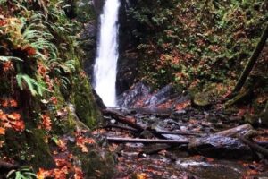 30+ Fun Things to Do on Vancouver Island during Fall