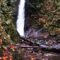 30+ Fun Things to Do on Vancouver Island during Fall