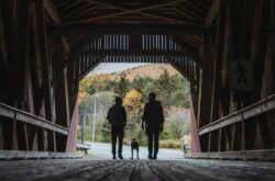 Things to Do to Make Best of Your Fall Trip to Fundy National Park
