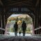 Things to Do to Make Best of Your Fall Trip to Fundy National Park