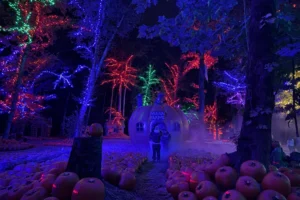 Pumpkin Forest, Corn Mazes, Ziplines and Scary Haunts: Why Maan Farms Is Worth a Fall Trip