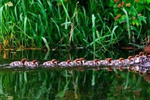 Family Fun Things to Do in Chilliwack