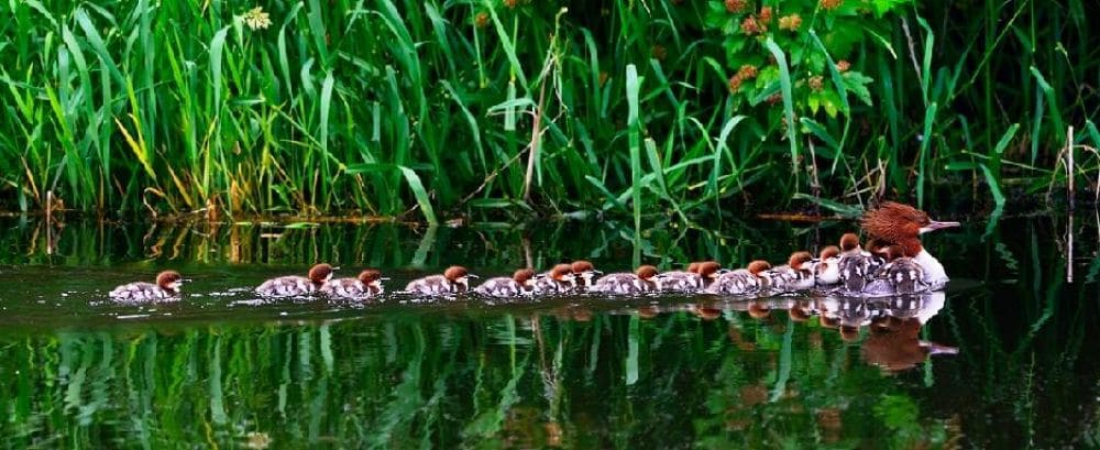 Family Fun Things to Do in Chilliwack