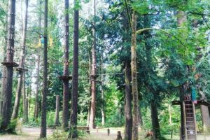 Fun Things to Do with Kids in Maple Ridge