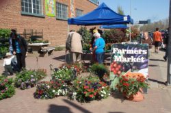 Farmers' Markets in Edmonton and Alberta Capital Region