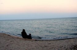 Things to Do to Celebrate 2025 Father's Day in Toronto & GTA: Events & Activities