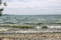Ferry Hop For a Summer Scenic Drive Across Ontario's Howe Island