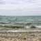 Ferry Hop For a Summer Scenic Drive Across Ontario's Howe Island